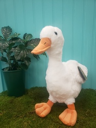 Duck Plush From Rogue River Florist, Grant's Pass Flower Delivery